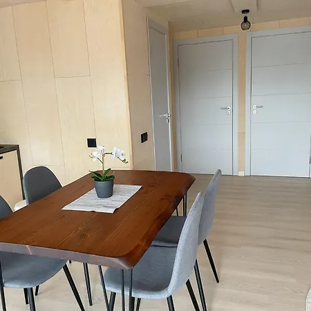 Apartment Nordic Loki